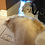 Russell_Allan